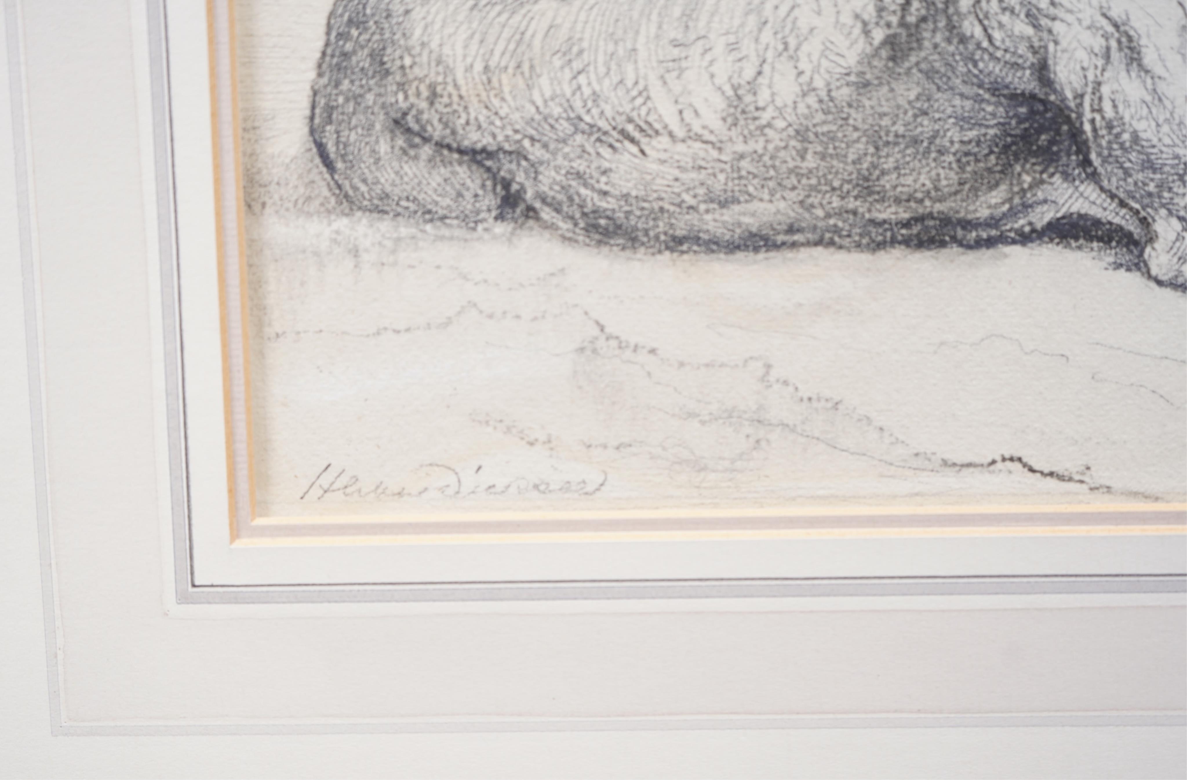 Herbert Thomas Dicksee, (1862-1942), Study of two lions resting